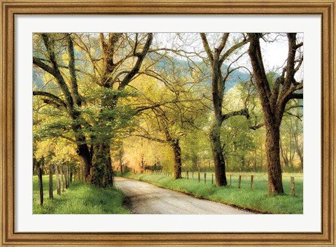 Framed Warm Morning Light Print