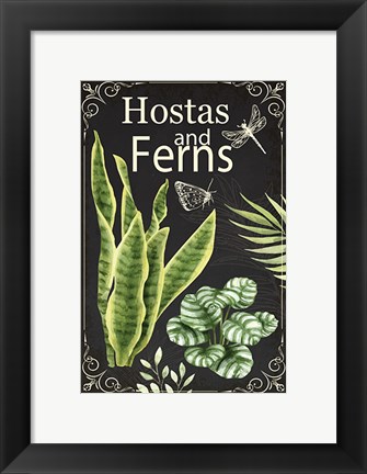 Framed Hostas and Ferns Print