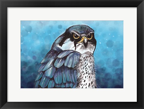 Framed Falcon Print