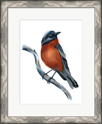 Framed Robin Print