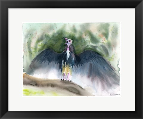 Framed Vulture Print