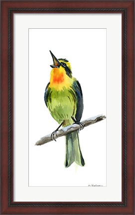 Framed Tropical Bird IV Print