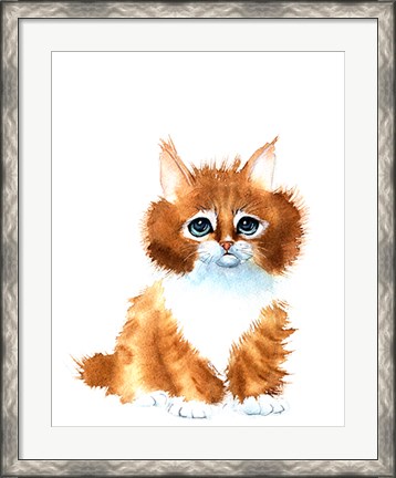 Framed Orange Cat Print