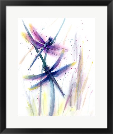 Framed Dragonflies II Print