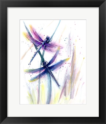 Framed Dragonflies II Print