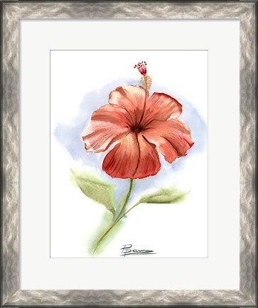 Framed Red Flower Print