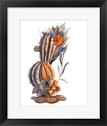 Framed Cactus VII Print