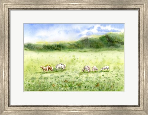 Framed Field Scape Print