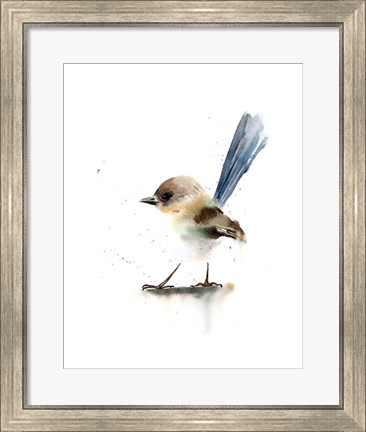 Framed Perched Bird IV Print
