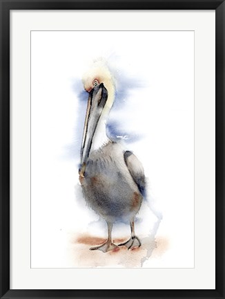 Framed Pelican II Print