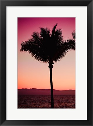 Framed Pink Palm Print