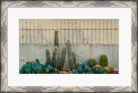 Framed Cactus Garden Print