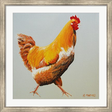 Framed Blonde Chicken Print