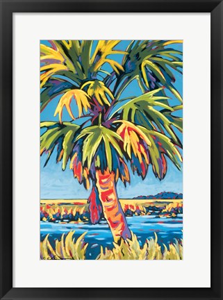 Framed Pine Island Palm Print