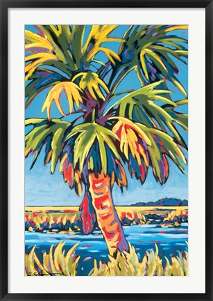 Framed Pine Island Palm Print