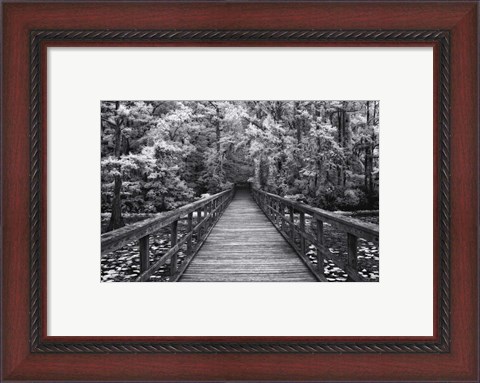 Framed Walk Into Tranquility Print