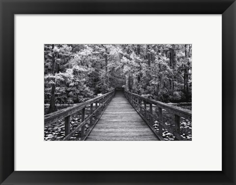Framed Walk Into Tranquility Print