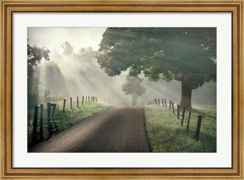 Framed Misty Print