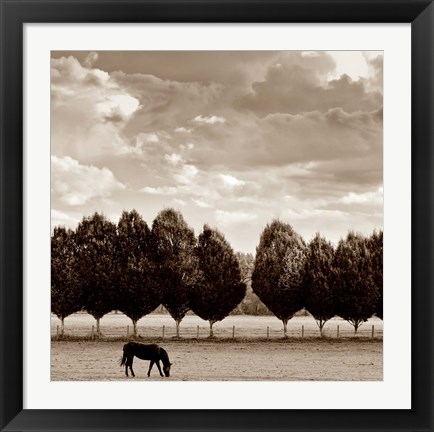 Framed Grazing Print