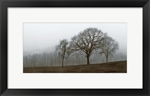 Framed Autumn Fog Print