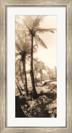 Framed Equatorial Breeze I Print