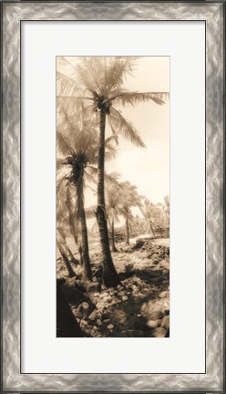 Framed Equatorial Breeze I Print