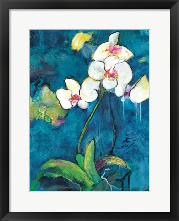 Framed Phalaenopsis II Print