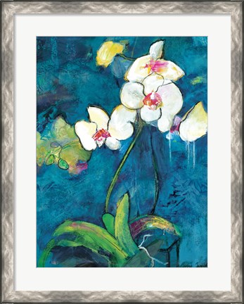 Framed Phalaenopsis II Print