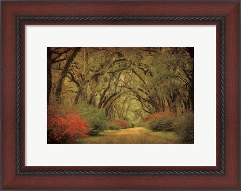 Framed Road Lined With Oaks &amp; Flowers Print