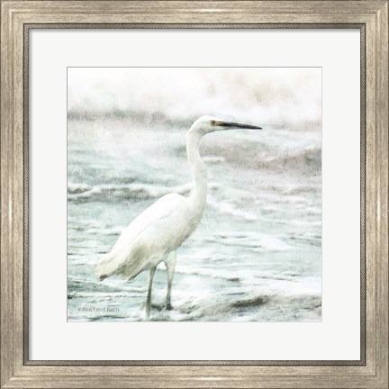 Framed Coastal Heron Print