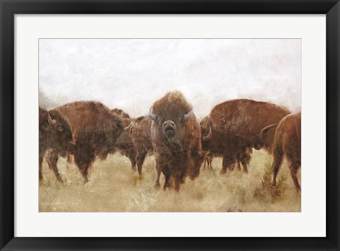 Framed Buffalo Print