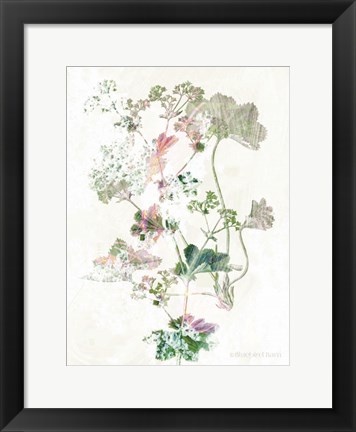 Framed Boho Geranium Botanical Print