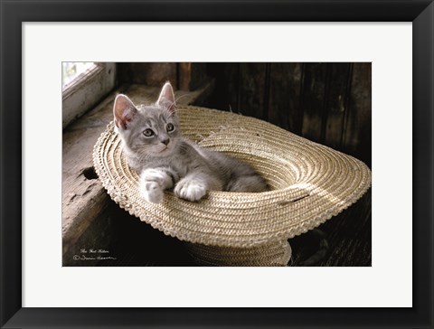 Framed Hat Kitten Print