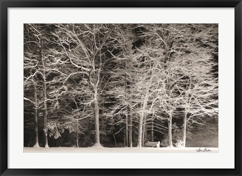 Framed Snowy Trees Print