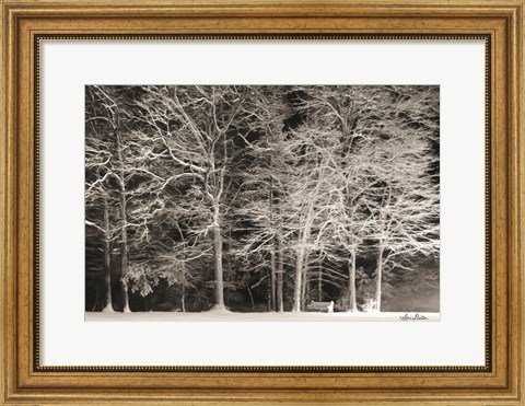 Framed Snowy Trees Print