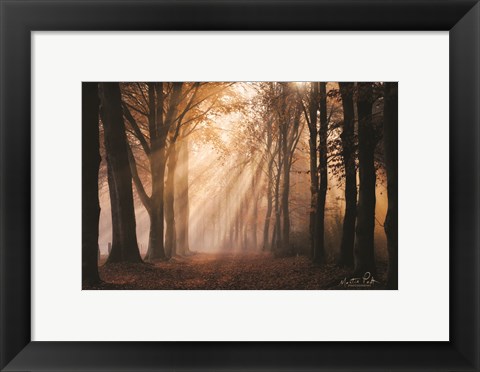 Framed Look for the Light in All Things Print