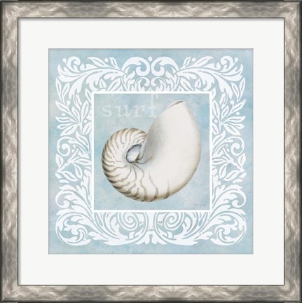 Framed Sandy Shells Blue on Blue Nautilus Print