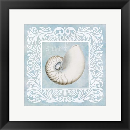 Framed Sandy Shells Blue on Blue Nautilus Print