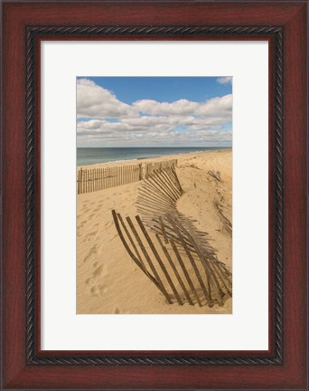 Framed Beach Dunes II Print