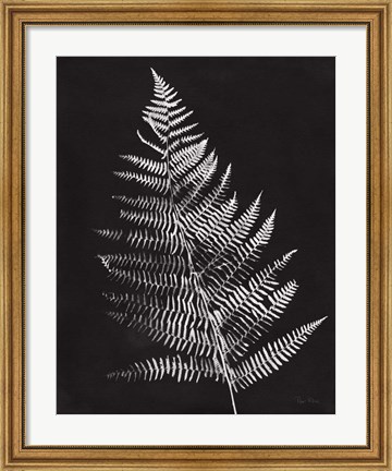 Framed Nature by the Lake Ferns VI Black Crop Print