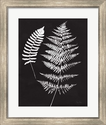 Framed Nature by the Lake Ferns V Black Crop Print