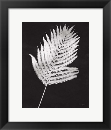 Framed Nature by the Lake Ferns III Black Crop Print