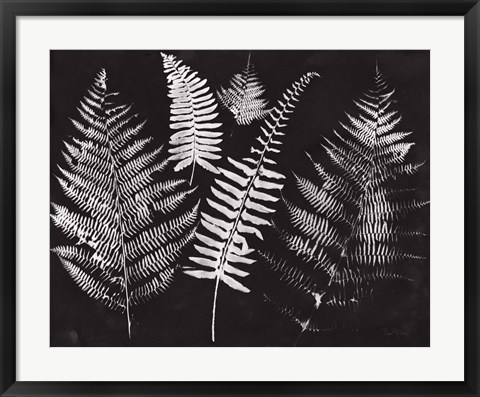 Framed Nature by the Lake Ferns I Black Crop Print