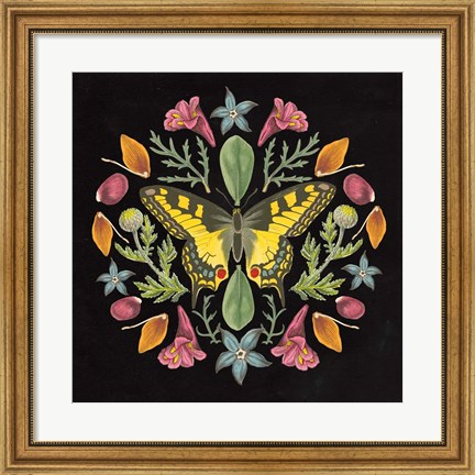 Framed Butterfly Mandala III Black Print
