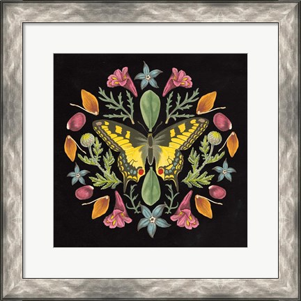 Framed Butterfly Mandala III Black Print