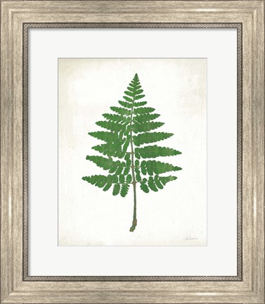 Framed Chalkboard Fern Green II Print