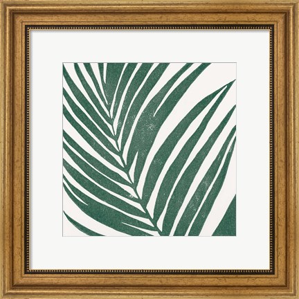 Framed Tropical Treasures III Print