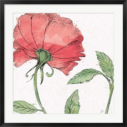 Framed Blossom Sketches IV Color Print