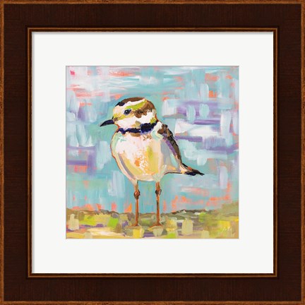 Framed Coastal Plover II Print