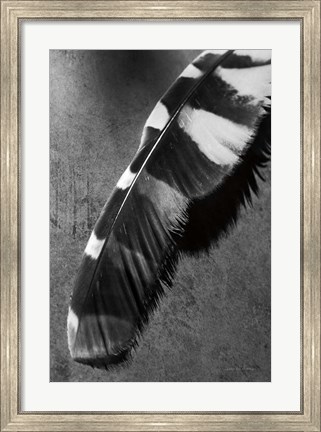 Framed Feather Shadow II Print